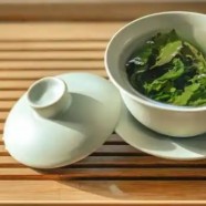 仪征绿杨春怎么样