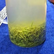 英德绿茶哪款好
