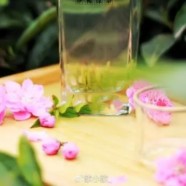 官庄毛尖茶的辨别方法