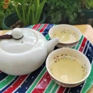 如何选购口感比较好的龙岩斜背茶