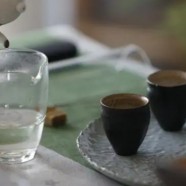 南山寿眉的做法