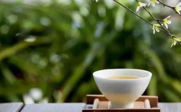雨花茶属于绿茶吗