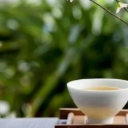 雨花茶属于绿茶吗