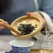 涌溪火青茶的介绍与特征