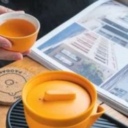 广西桂平西山茶的特点