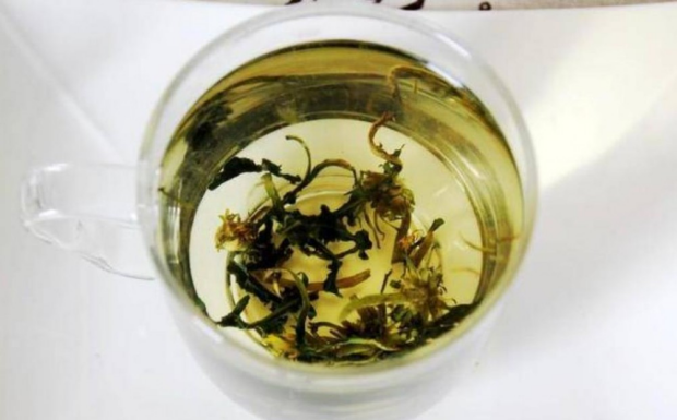 金银花和蒲公英可以一起泡水喝吗.png