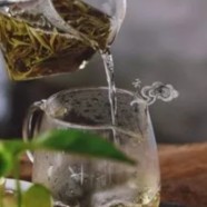 宁德天山绿茶了解吗