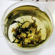 金银花和蒲公英可以一起泡水喝吗