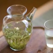 鸠坑毛尖茶应该怎样烹煮才好喝