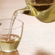 老竹大方的品质特征有什么