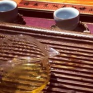 怎样正确品鉴绿春玛玉茶