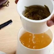 黄竹白毫的品质特征有什么