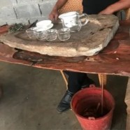 古丈毛尖红茶还是绿茶