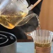 武阳春雨多少钱
