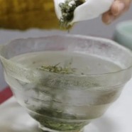 车云山毛尖有哪些特别之处