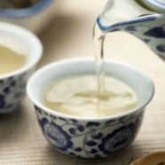 松溪小白茶特点