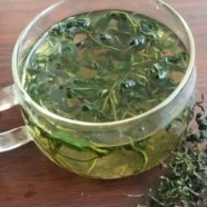 蒲公英茶的功效与作用