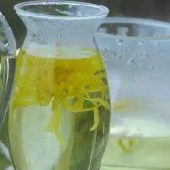 信阳白茶的名字由来