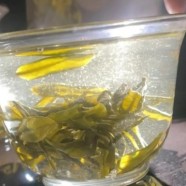 文君绿茶传承人是谁