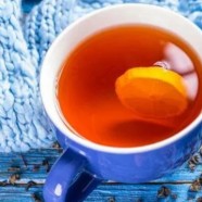 乌牛早茶什么时候上市