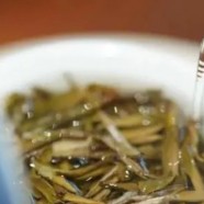 海马宫茶功效