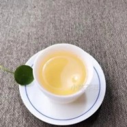 沩江白毛尖在哪里
