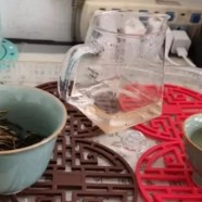 广东大青叶是什么茶
