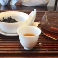 兰馨雀舌怎么样