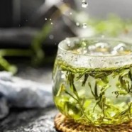 霍山黄大茶产地哪里