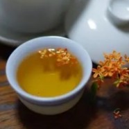 霍山黄芽介绍