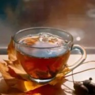 川红工夫红茶特点