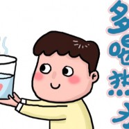 宁红工夫茶是什么档次