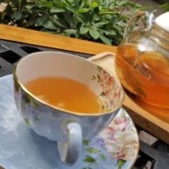 远安黄茶的功效
