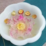 杭白菊的功效与作用