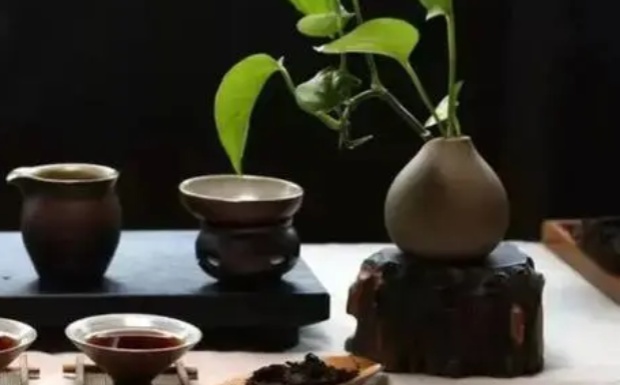 水金龟口感特点.jpg 水金龟口感特点.jpg