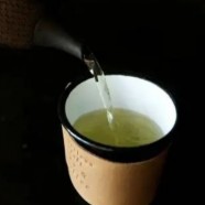 鹿苑毛尖什么天气采摘最好
