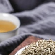 君山银针茶产于哪里