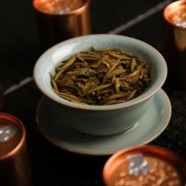 汉山红怎么样