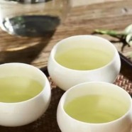 英德红茶产地在哪里