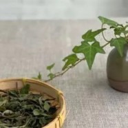 川红工夫红茶什么档次