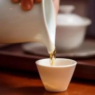 踏雪兰妃用多少度的水冲泡