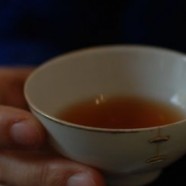 九曲红梅茶属于什么茶