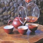 建阳白茶有什么特点