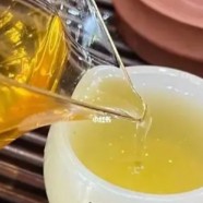 远安黄茶属于什么茶