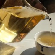 宁波白茶保质期