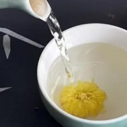 老白茶是寒性还是温性