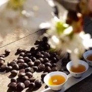 大麦茶性寒还是性温