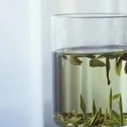 沩山毛尖好喝吗