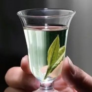 广东大叶青是黄茶吗还是绿茶