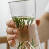 金边玫瑰茶与玫瑰花的区别